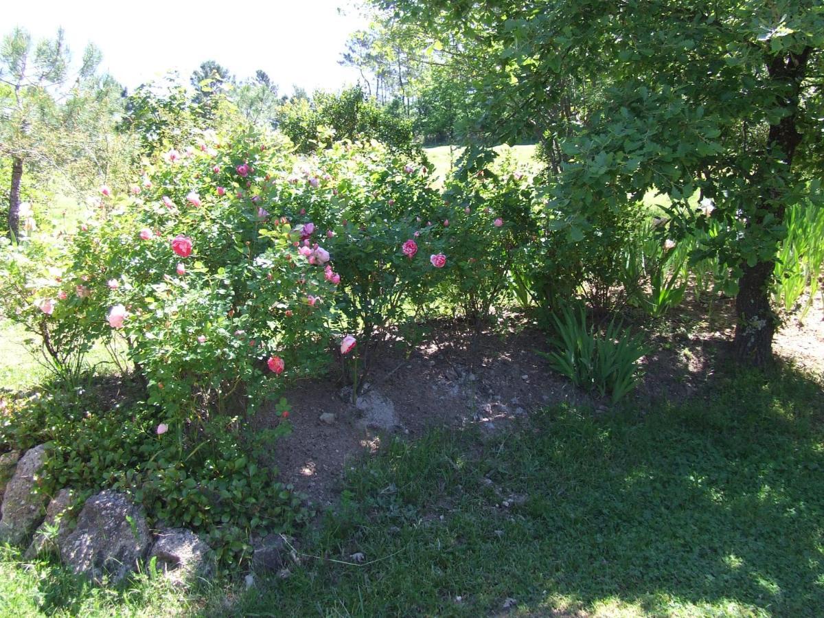 Domaine Du Planas Ailhon Ardeche Bed & Breakfast Dış mekan fotoğraf